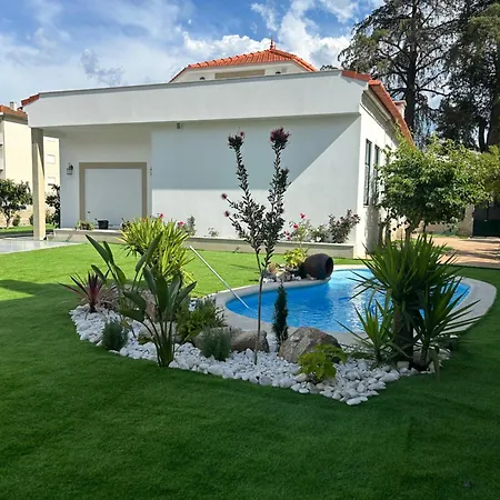 O Cantinho Da Cotovia