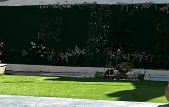 O Cantinho Da Cotovia Valpaços