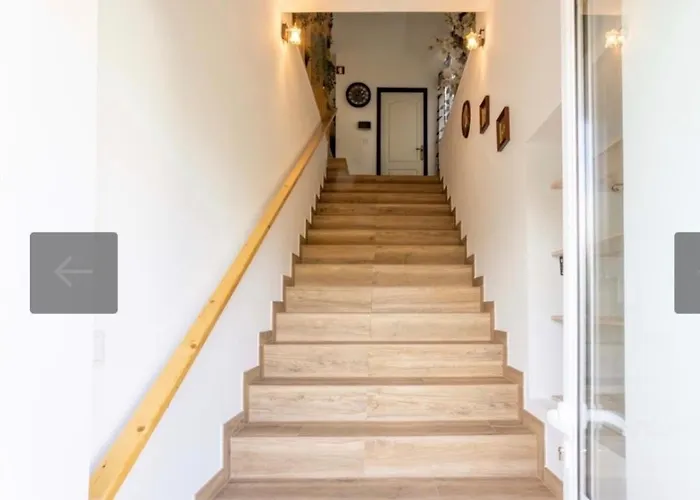 O Cantinho Da Cotovia *