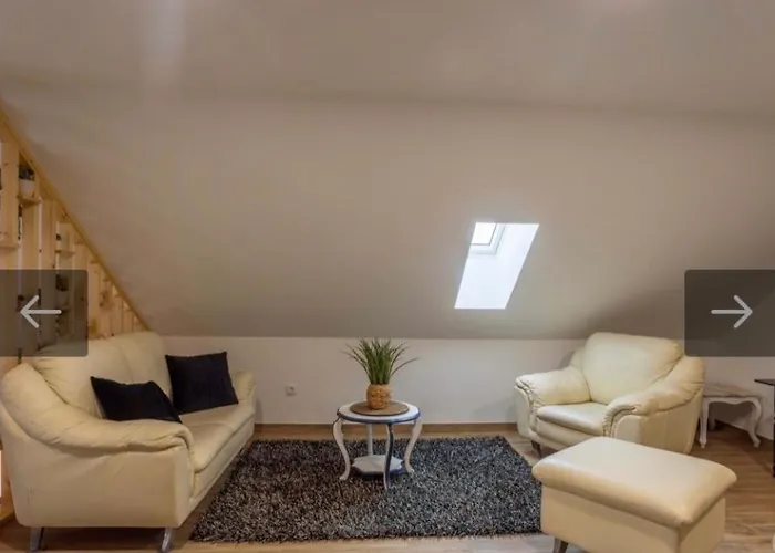 O Cantinho Da Cotovia *